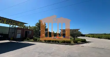 Gewerbefläche 900 m² in Durrës, Albanien