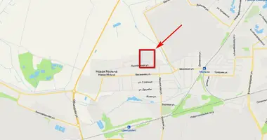 Manufacture 2 374 m² in Novaja Milca, Belarus