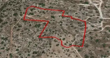 Terrain dans Koinoteta Agiou Tychona, Chypre