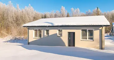 Dom w Okmianiszki, Litwa