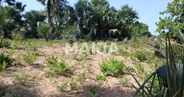 Działka w Gunjur, Gambia