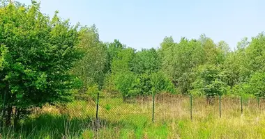 Grundstück in Pniewo, Polen