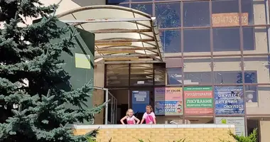Коммерческое помещение 564 м² в Молодёжное, Украина
