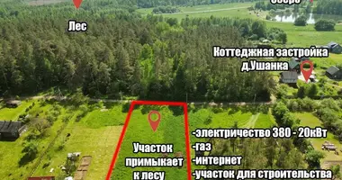 Plot of land in Piarezyrski sielski Saviet, Belarus