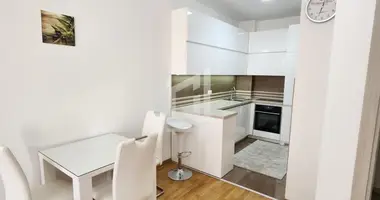 Apartment in Podgorica, Montenegro