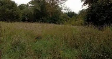 Parcela en Kepa Kielpinska, Polonia