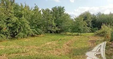 Plot of land in Muchaviecki sielski Saviet, Belarus