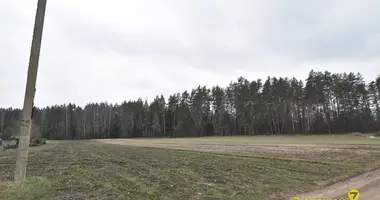 Grundstück in Piekalin, Belarus