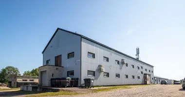 Gewerbefläche 1 731 m² in Girngallen, Litauen