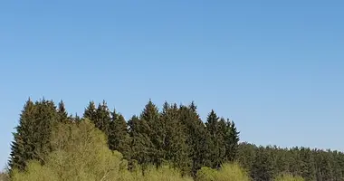 Działka w Kalwaria, Litwa