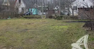 Grundstück in Carnaucycki sielski Saviet, Belarus