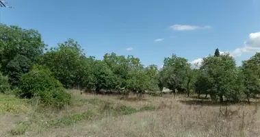 Terrain dans Áno Korakiána, Grèce