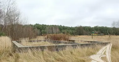 Parcela en Masievicy, Belarús