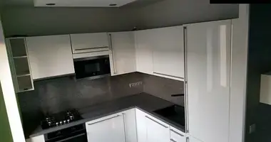2 bedroom apartment in Capital City of Prague, Czech Republic