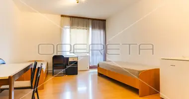 Apartamento en Lucko, Croacia