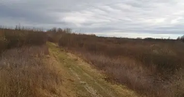 Участок земли в Khabb wa ash Shaaf district, Йемен