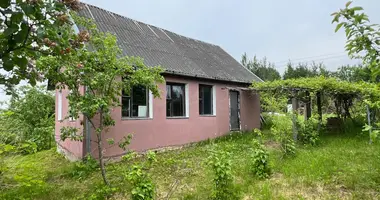 House in Krasnienski sielski Saviet, Belarus