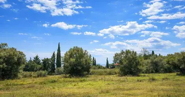 Terrain dans Kassandrino, Grèce