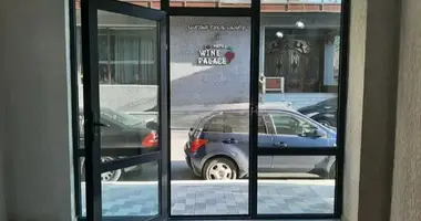 Gewerbefläche 27 m² in Tiflis, Georgien