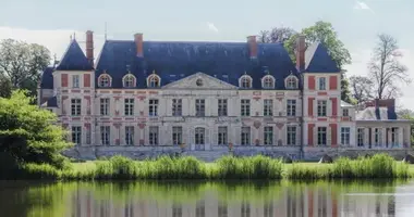 Castillo 35 habitaciones en Villeneuve le Roi, Francia