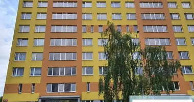 Wohnung 3 zimmer in Hauptstadt Prag, Tschechien