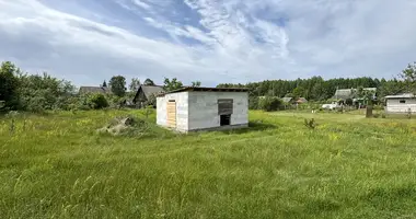 Parcela en Mikalajeuscynski sielski Saviet, Belarús