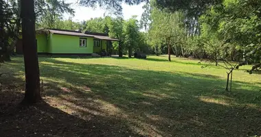 House in Lodz, Poland