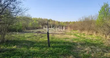 Plot of land in Vorotynsky District, Russia