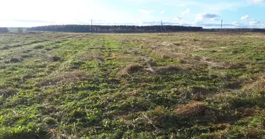 Plot of land in Bolsoe Rejzino, Russia