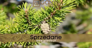 Parcela en Smolice, Polonia