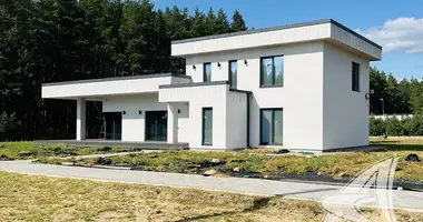 House in Dzmitrovicki sielski Saviet, Belarus