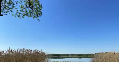  in Aziory, Belarus