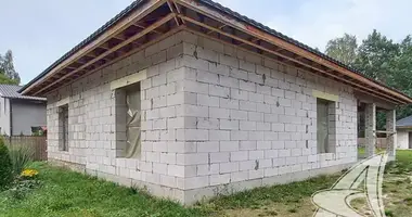 Haus in Rakitnicki sielski Saviet, Belarus