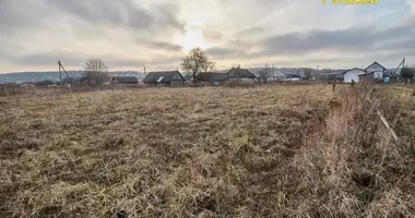 Działka w Augustowo, Białoruś