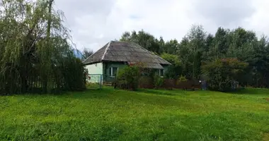  dans Zodzinski sielski Saviet, Bélarus