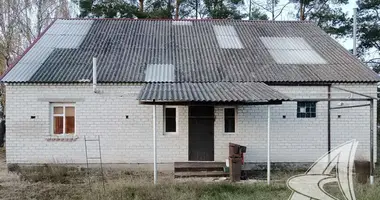 House in Carniany, Belarus