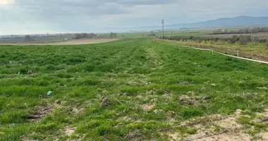 Plot of land in Veziroglu, Turkey