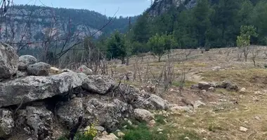 Plot of land in Tol, Turkey