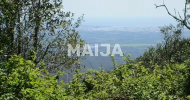 Działka w Monchique, Portugalia