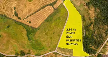 Grundstück in Salkininkai, Litauen