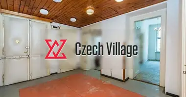3 bedroom apartment in Capital City of Prague, Czech Republic