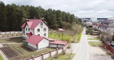Cottage in Barawlyany, Belarus