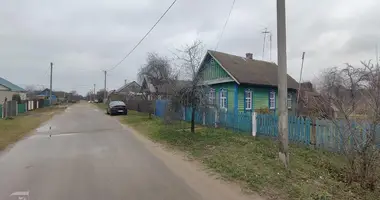 Дом в Березино, Беларусь