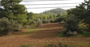 Parcela en Pyrga, Chipre