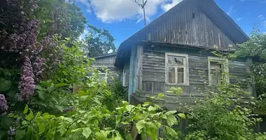 House in Zdanovicy, Belarus