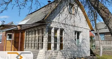 House in Aliachnovicki sielski Saviet, Belarus