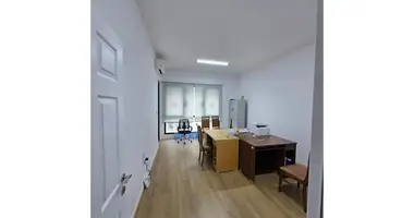 1 bedroom apartment in Tirana Municipality, Albania