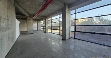 Gewerbefläche 4 500 m² in Tirana, Albanien