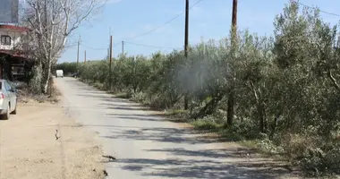 Parcela en Kriopigi, Grecia