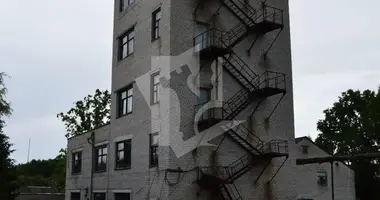 Commercial property 778 m² in Vialikija Navasiolki, Belarus